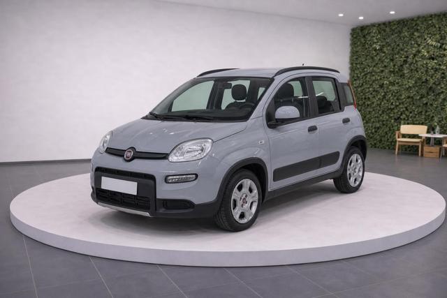 FIAT Panda usata, con ABS