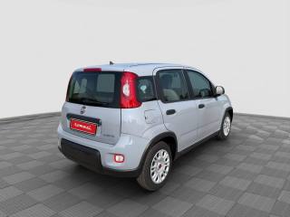 FIAT Panda usata 4