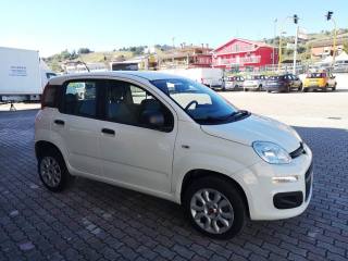 FIAT Panda usata, con Controllo trazione