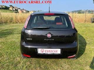 FIAT Punto usata 5