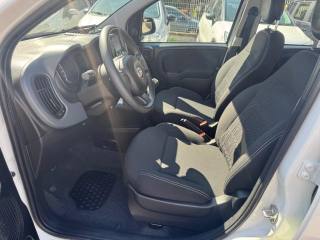 FIAT Panda usata, con ESP
