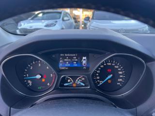 FORD Focus usata, con Bracciolo