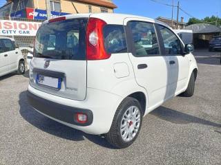 FIAT Panda usata, con Controllo trazione