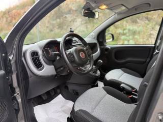 FIAT Panda usata, con Fendinebbia
