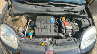 FIAT Panda usata, con Isofix