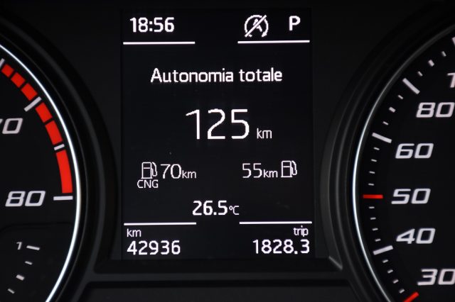 SEAT Leon usata, con Climatizzatore
