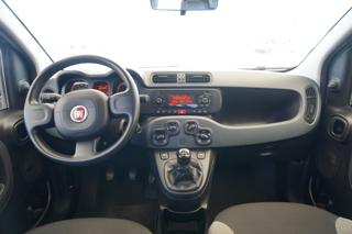 FIAT Panda usata 17