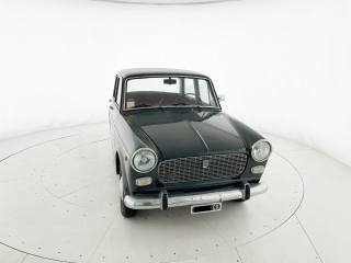 FIAT 1100 usata 19