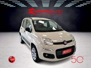 FIAT Panda usata 3