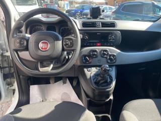 FIAT Panda usata, con Immobilizzatore elettronico