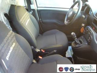 FIAT Panda usata, con Riconoscimento dei segnali stradali