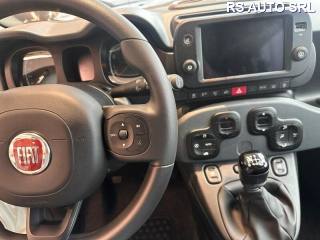 FIAT Panda Cross usata, con Climatizzatore