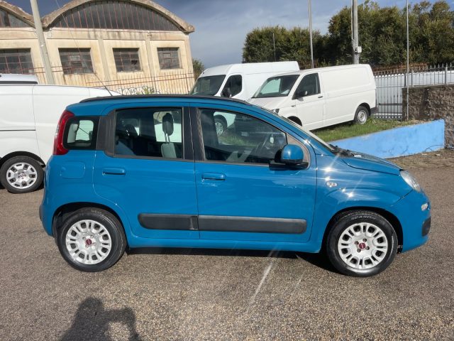 FIAT Panda usata 2