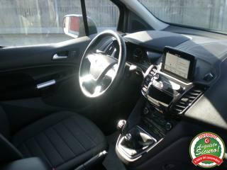 FORD Tourneo Connect usata, con Fendinebbia