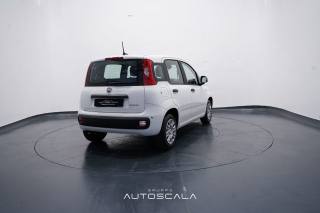 FIAT New Panda usata, con Climatizzatore