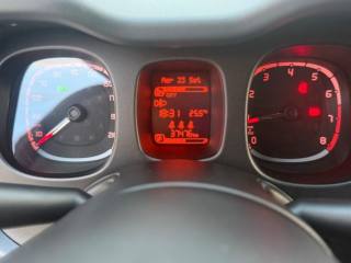 FIAT Panda Cross usata, con Sensore di pioggia