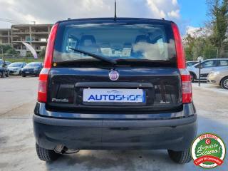 FIAT Panda usata 4