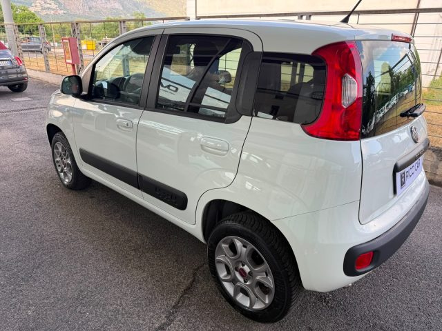 FIAT Panda usata, con Airbag Passeggero
