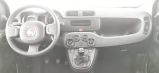 FIAT Panda usata 36