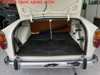 FIAT 1100 usata 16