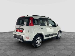 FIAT Panda usata 4