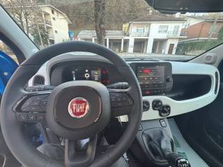 FIAT Panda Cross usata, con Controllo trazione