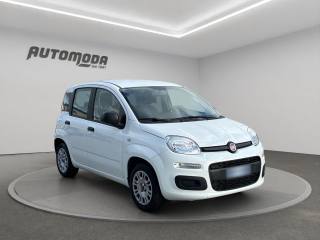 FIAT Panda usata, con Airbag Passeggero
