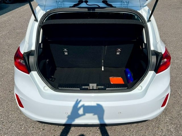 FORD Fiesta usata, con Airbag testa