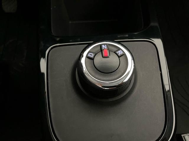 DACIA Spring usata 24
