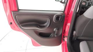 FIAT Panda usata 35