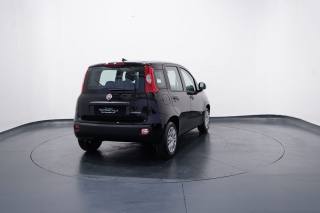 FIAT New Panda usata, con Chiusura centralizzata