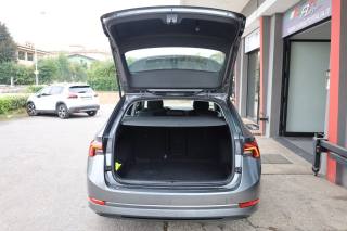 SKODA Octavia usata 121