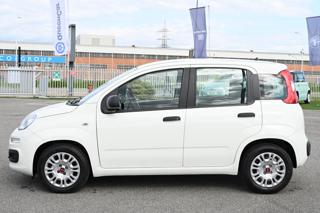 FIAT Panda usata, con Climatizzatore