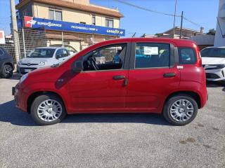 FIAT Panda usata, con Antifurto