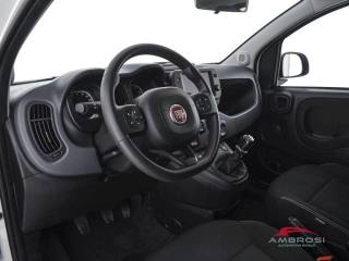 FIAT Panda usata 7