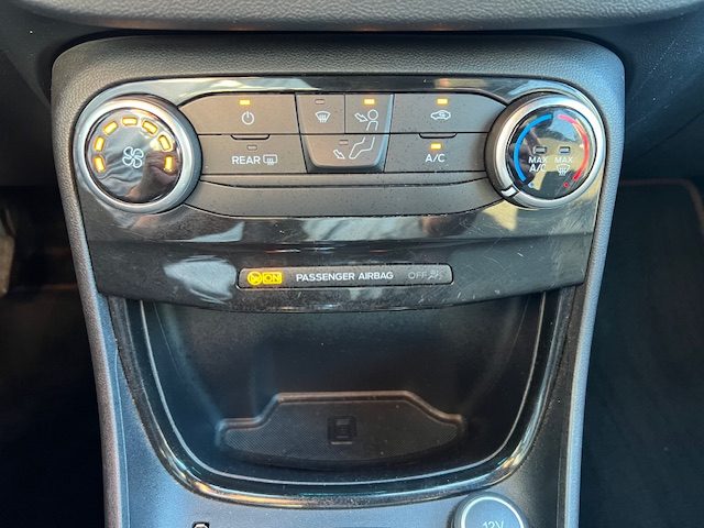 FORD Puma usata, con Controllo trazione