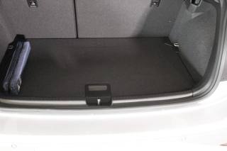VOLKSWAGEN Polo usata, con Cruise Control