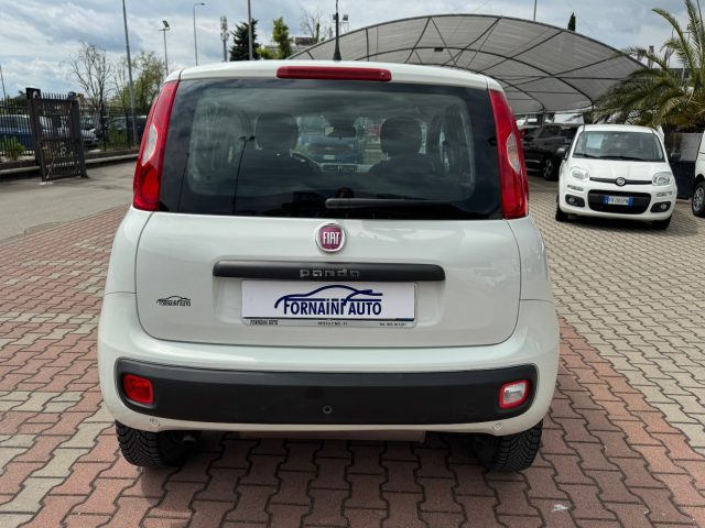 FIAT New Panda usata, con Climatizzatore