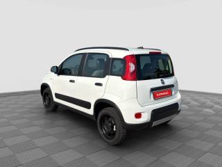 FIAT Panda usata 2