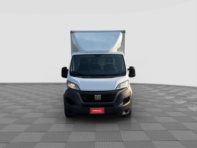 FIAT Ducato usata 6