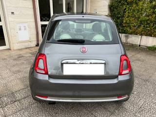 FIAT 500 usata 6