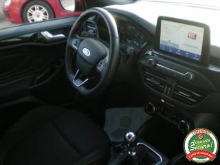 FORD Focus usata 10