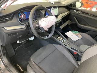 SKODA Octavia usata, con ESP