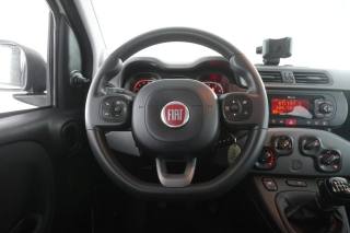 FIAT Panda usata 12
