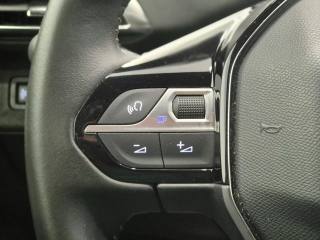 PEUGEOT 3008 usata, con Touch screen