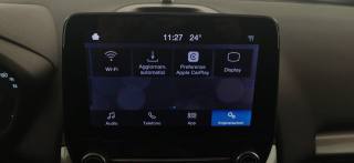 FORD EcoSport usata 45