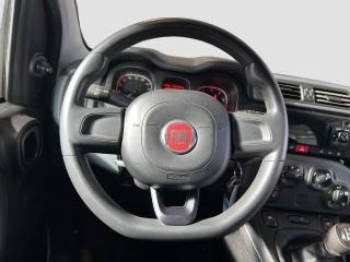 FIAT Panda usata 11