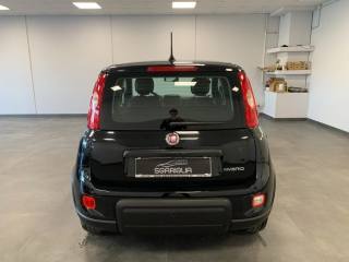 FIAT Panda usata, con Antifurto