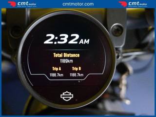 HARLEY-DAVIDSON Sportster S usata 4