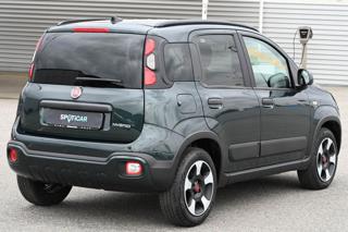 FIAT Panda Cross usata, con Alzacristalli elettrici